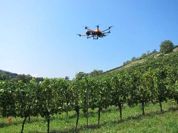 Vegetationsindexberechnung mit Drohne