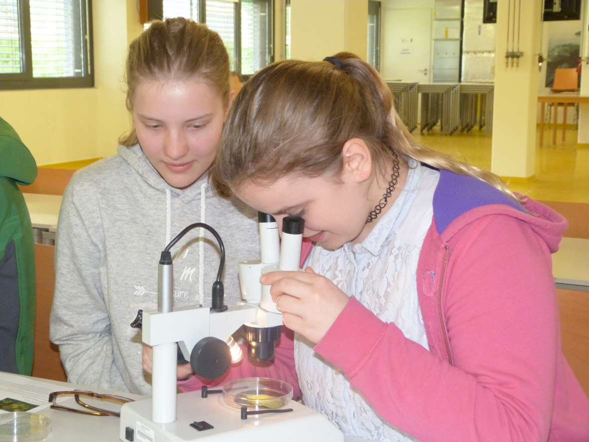 Schülerinnen vor dem Mikroskop