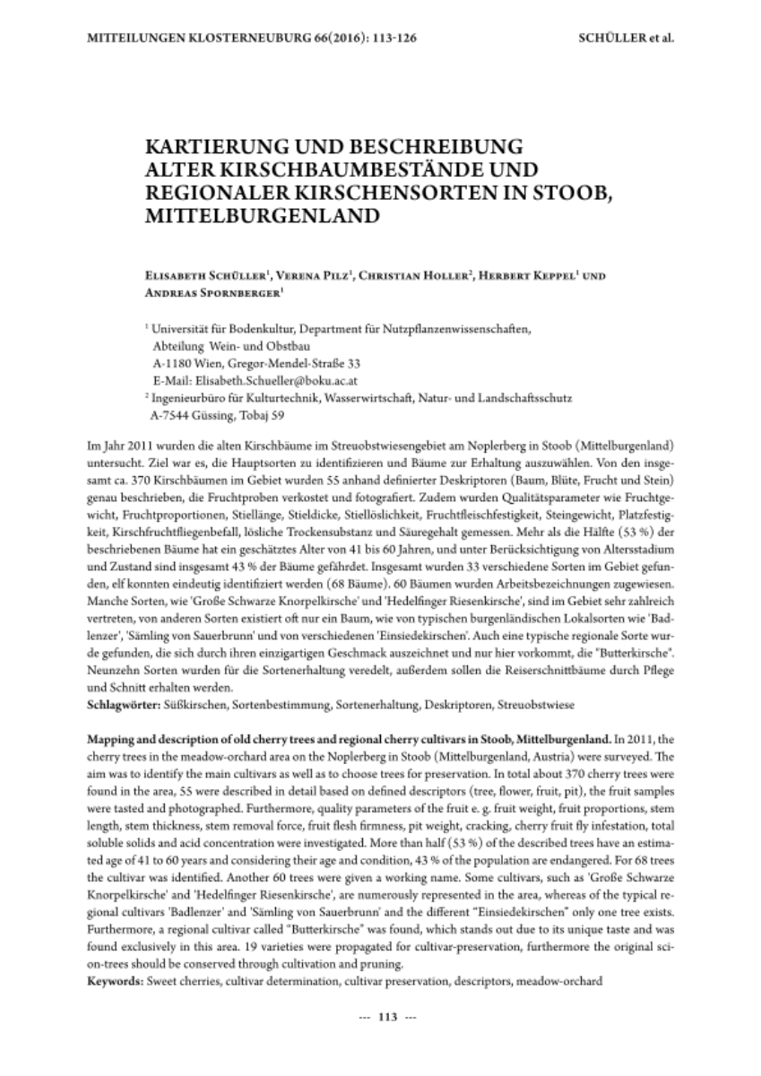 Kartierung und Beschreibung alter Kirschbaumbestände und regionaler Kirschensorten in Stoob, Mittelburgenland